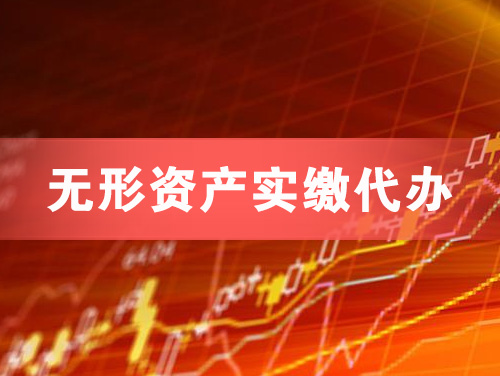 洪湖无形资产实缴资本代办