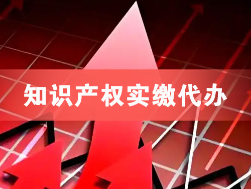 洪湖知识产权实缴资本代办